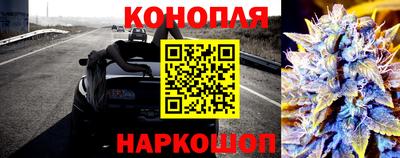 шишки Конаково