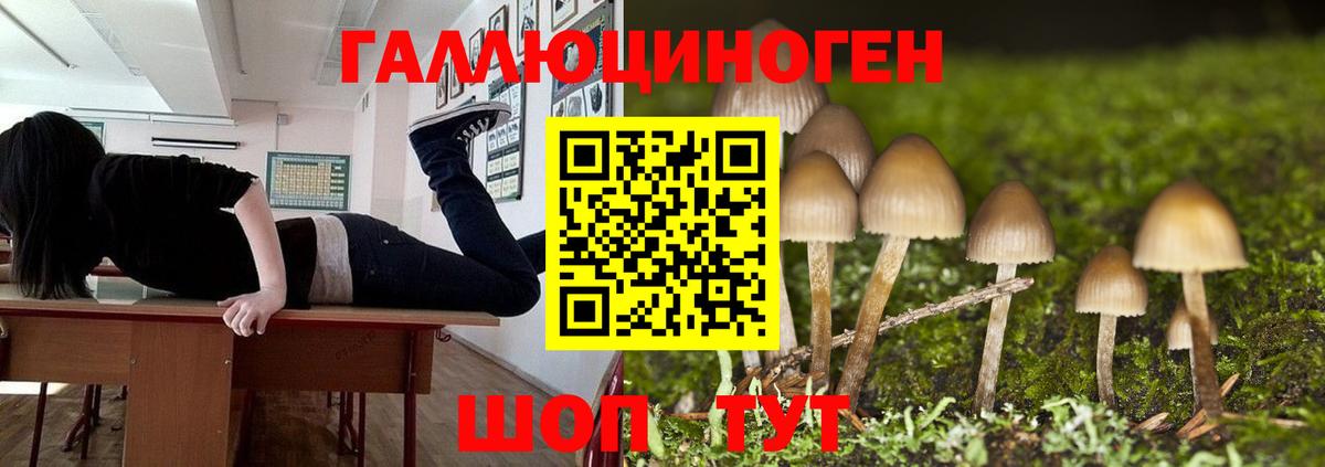 Галлюциногенные грибы Psilocybe  Вход с VPN  как найти наркотики  Комсомольск-на-Амуре 
